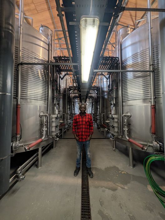 Walking between rows of stainless steel fermentation tanks, 2026