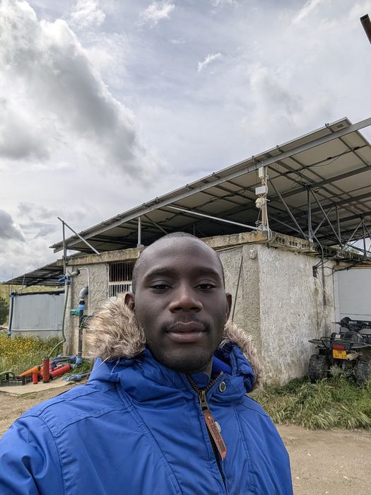 Farm building with a solar panel canopy, 2024