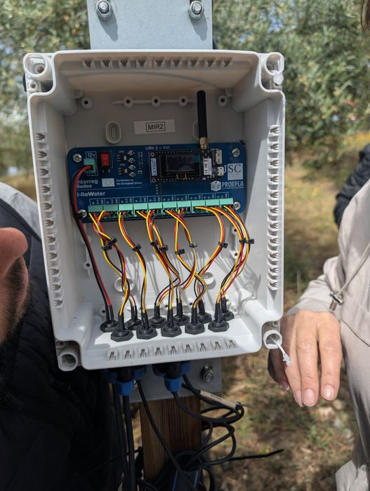 Inspecting a LoRa IoT irrigation sensor box in the field, 2025