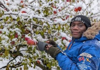 Hyperspectral imaging fieldwork on apples, snow-covered orchard in winter, 2025